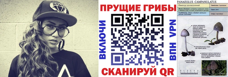 MEGA сайт  Ирбит  Псилоцибиновые грибы MAGIC MUSHROOMS  купить  